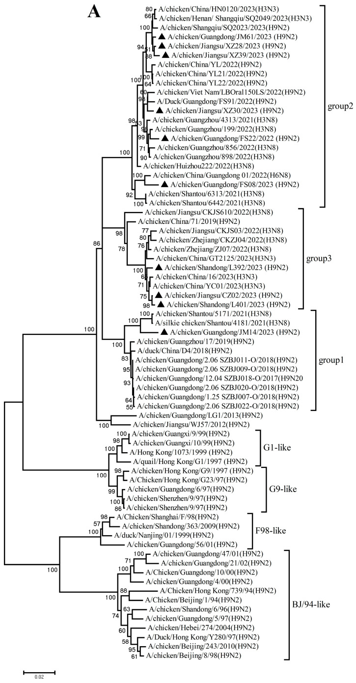 Figure 3