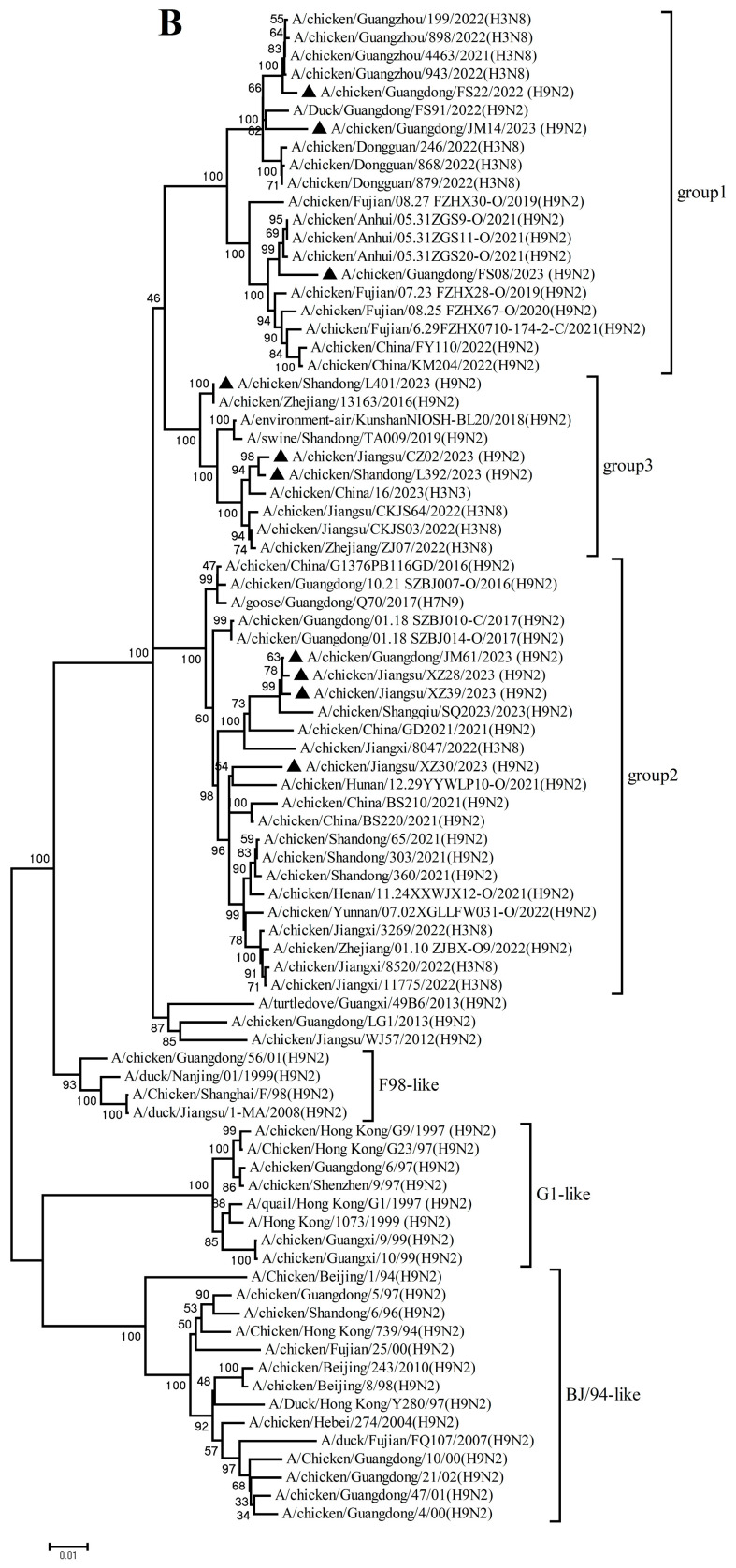 Figure 4