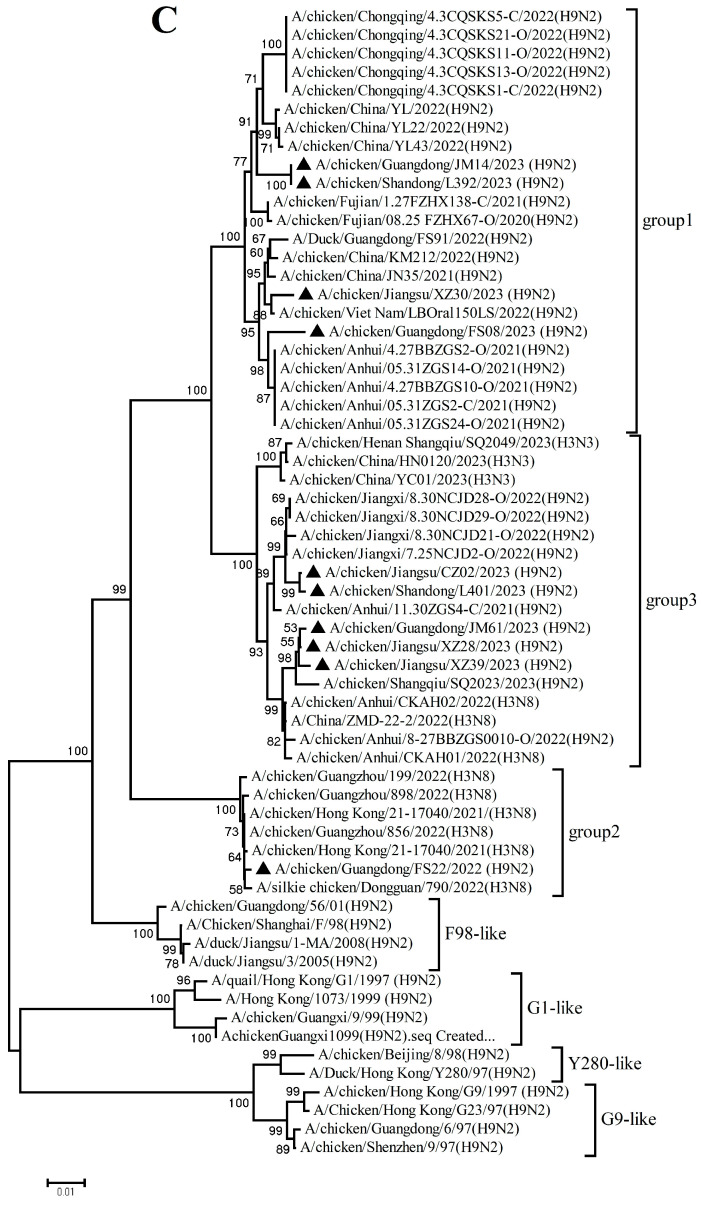 Figure 5