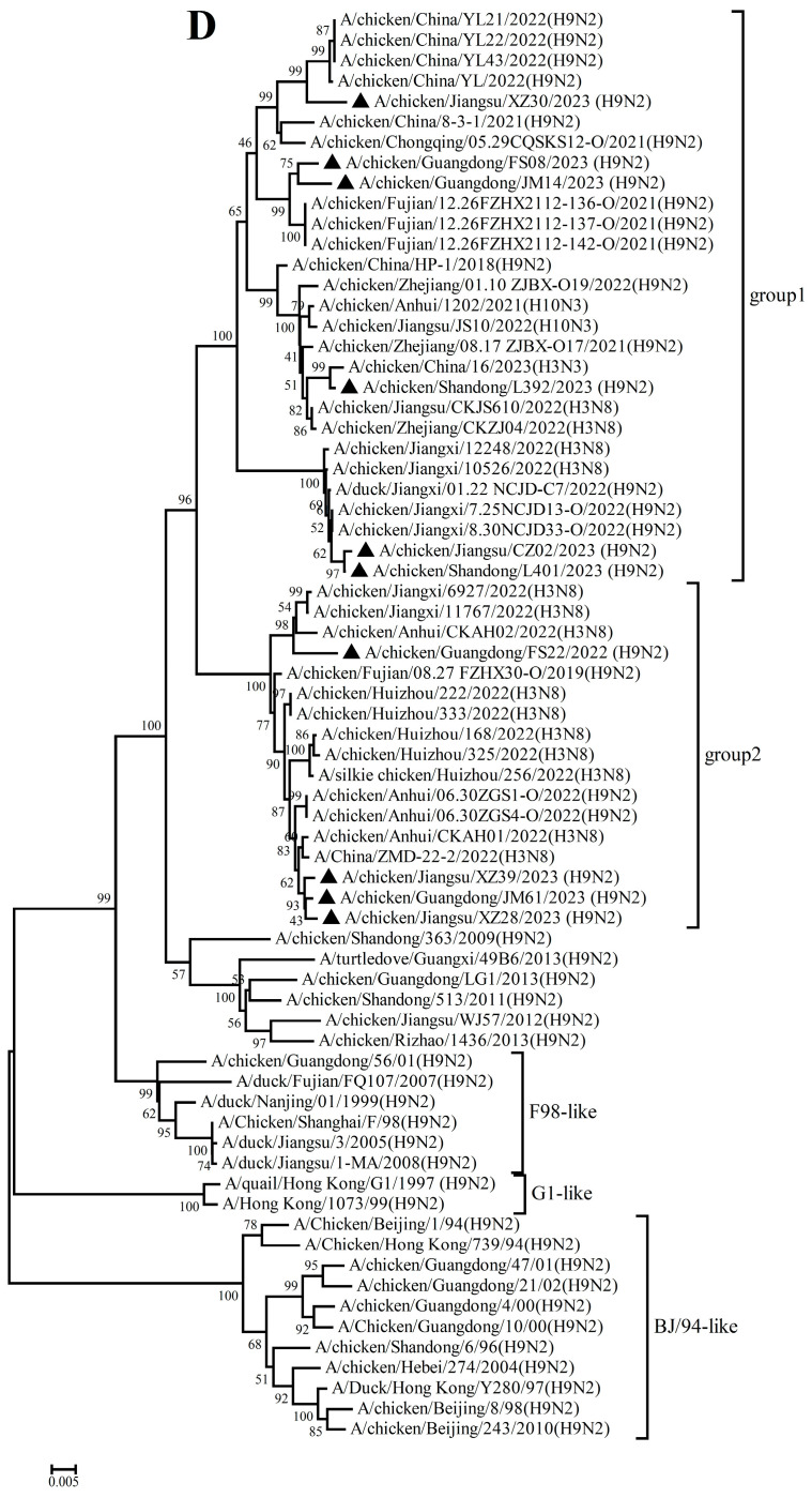 Figure 6