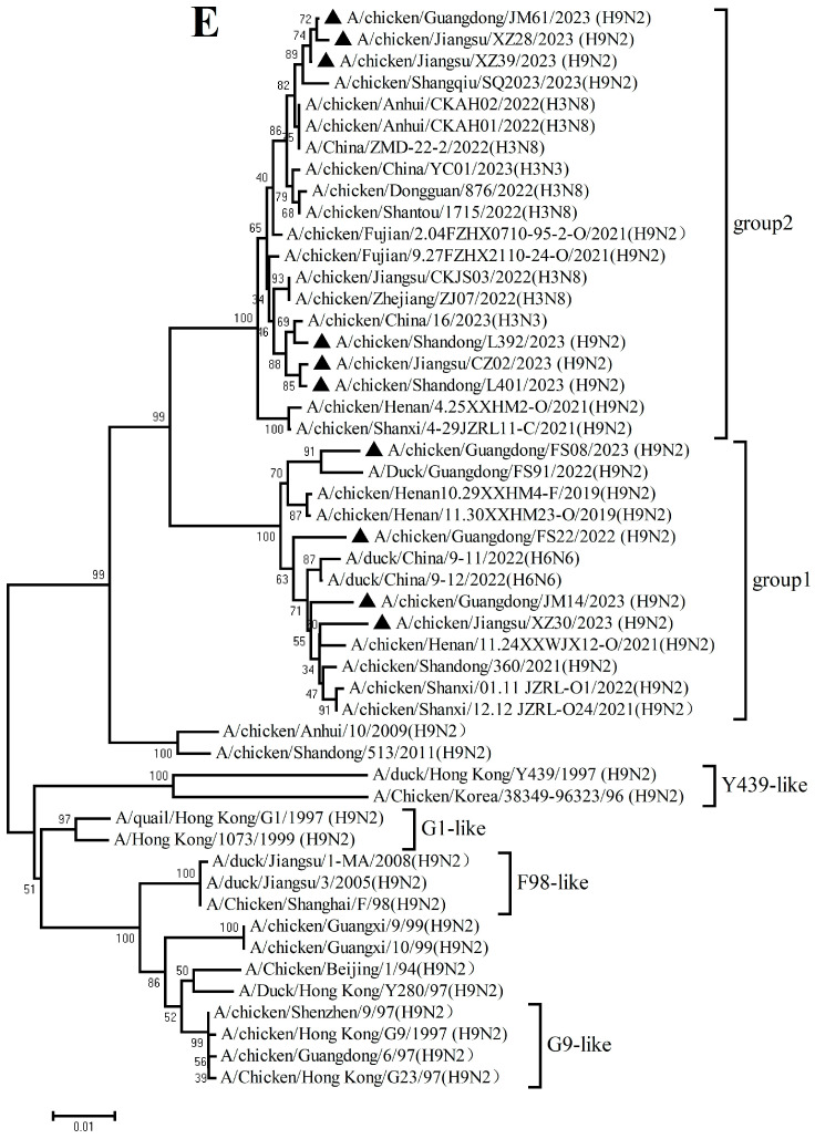 Figure 7