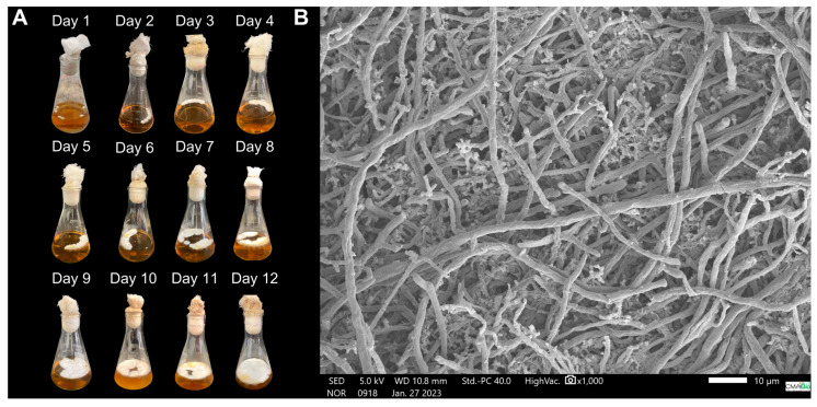 Figure 10