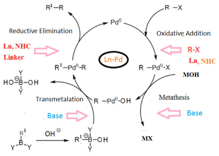Figure 31