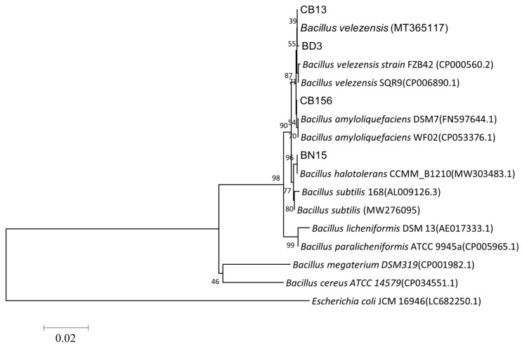Figure 3