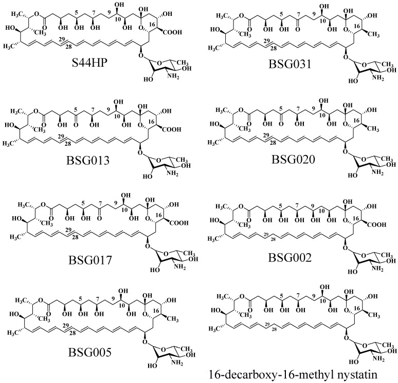 Figure 7