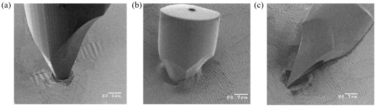 Figure 10