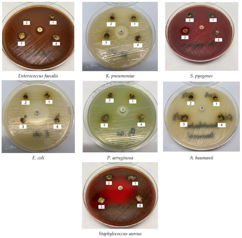 Figure 10
