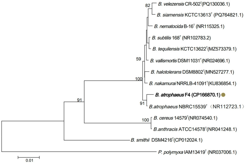 Figure 2
