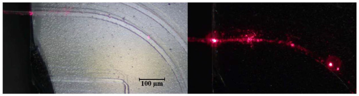 Figure 20