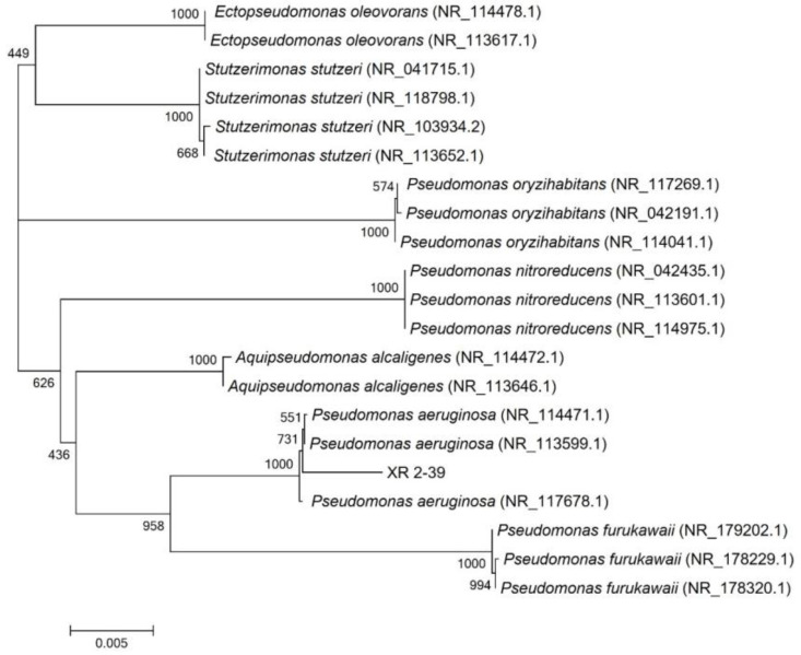Figure 2