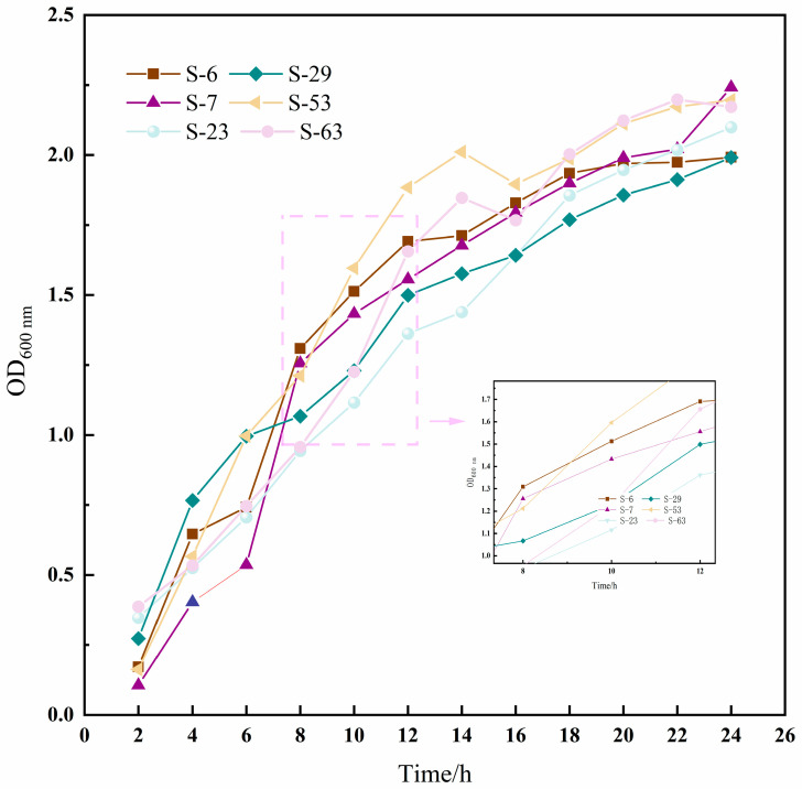 Figure 5