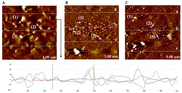 Figure 6