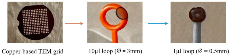 Figure 9