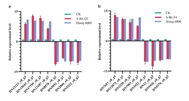 Figure 10