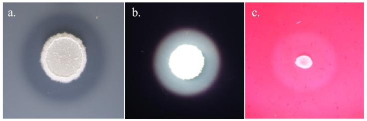 Figure 9