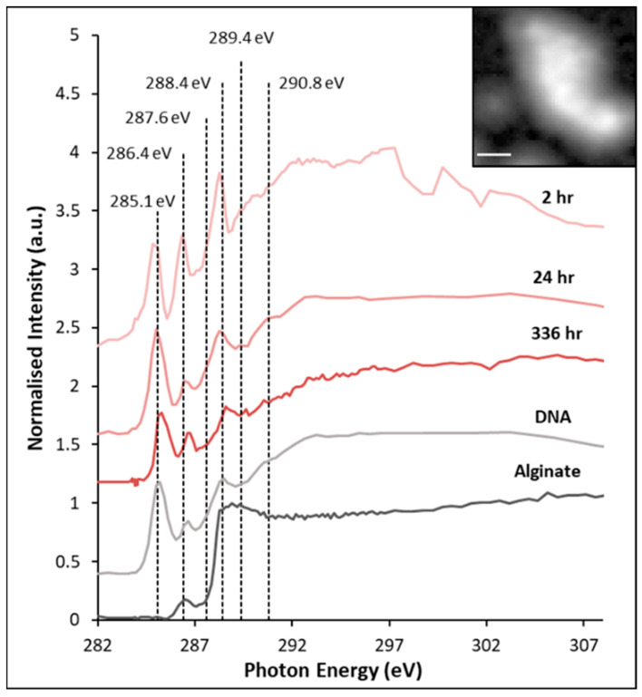 Figure 10
