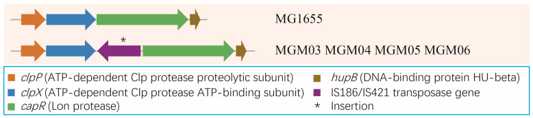 Figure 6
