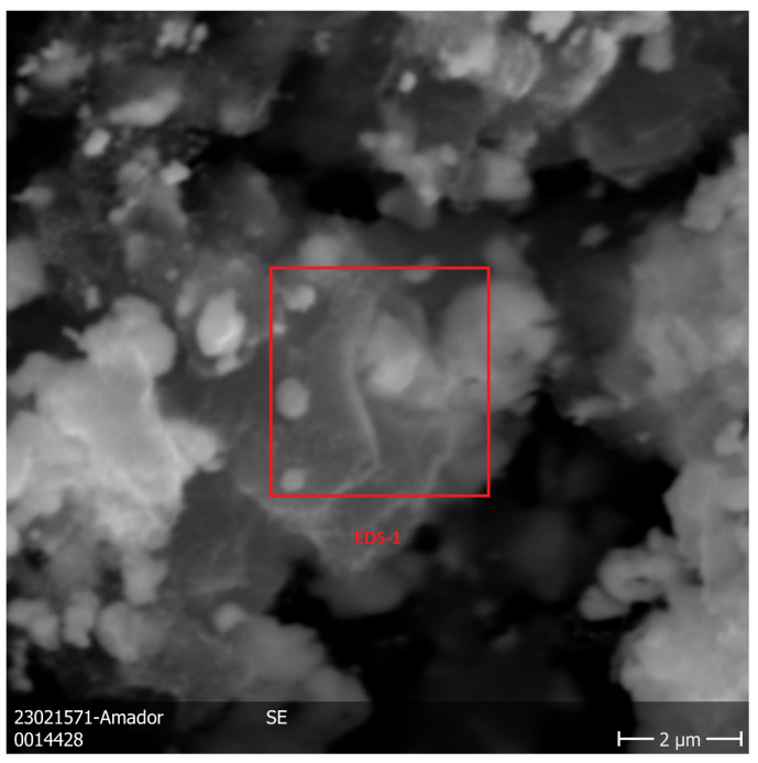 Figure 13