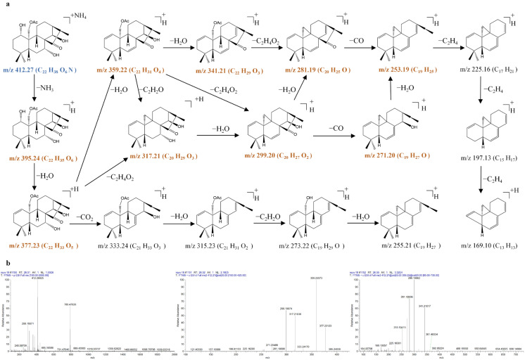 Figure 14