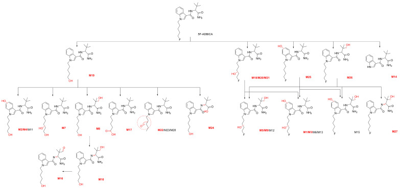 Figure 5
