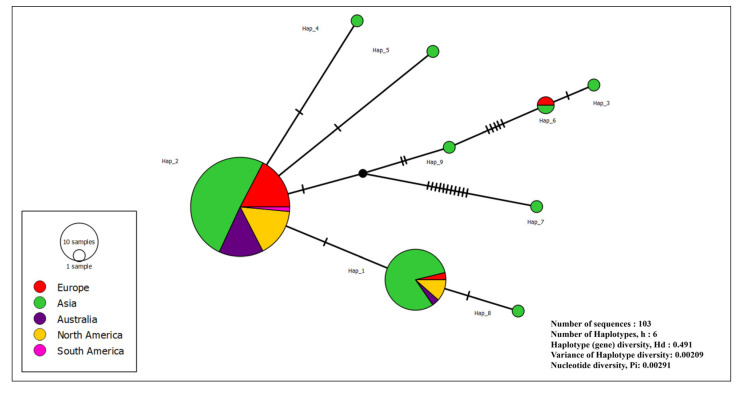 Figure 5