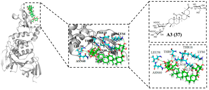 Figure 12