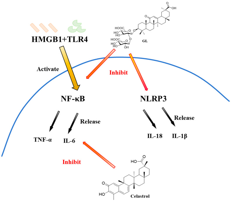 Figure 13