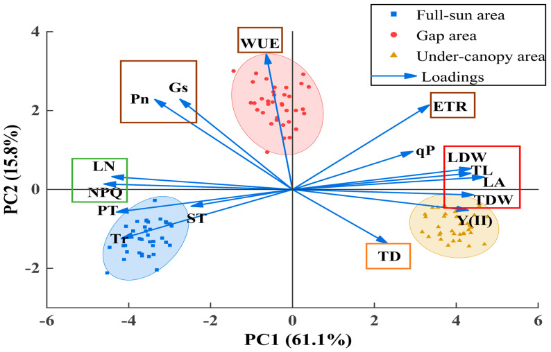 Figure 7