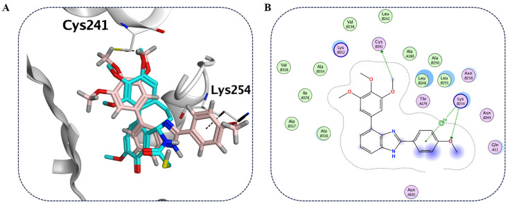 Figure 10