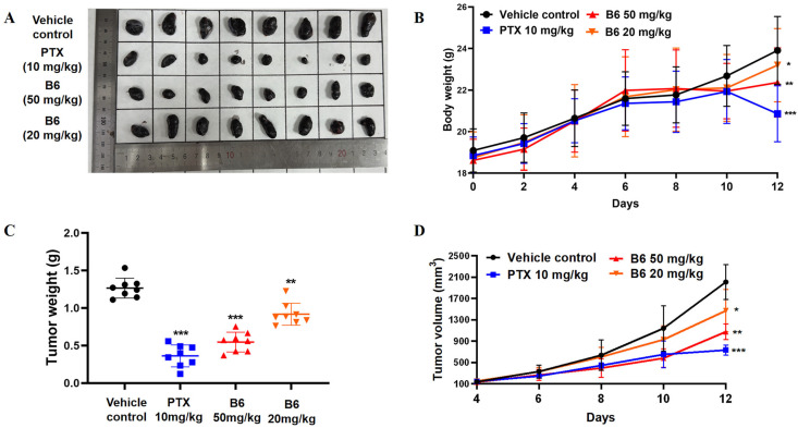 Figure 12