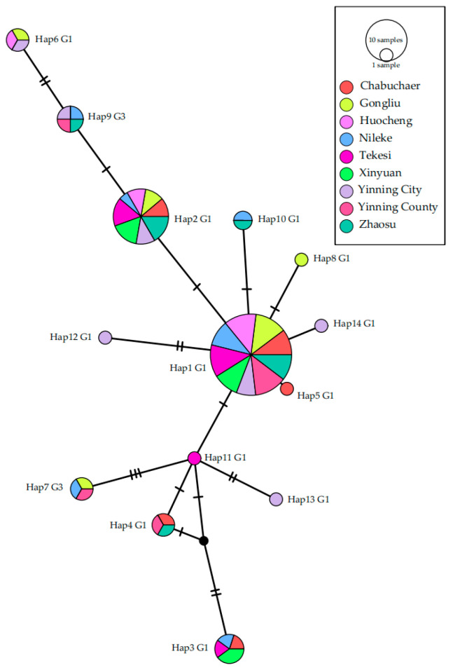 Figure 5