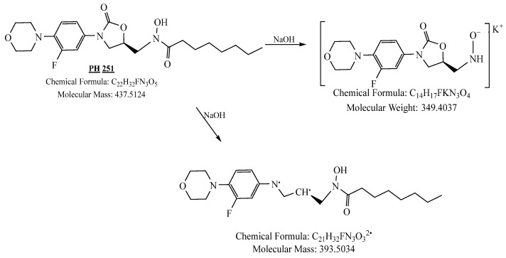 Figure 38