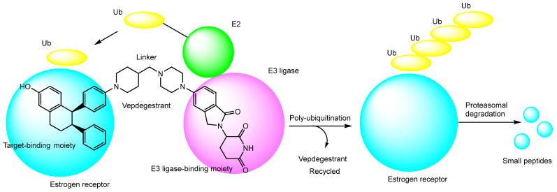 Figure 17