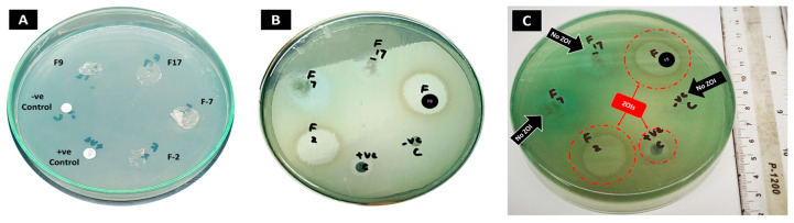 Figure 13