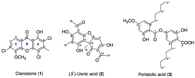 Figure 2