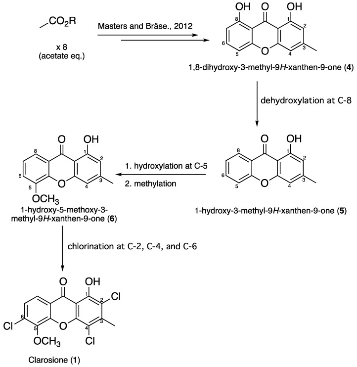 Figure 5
