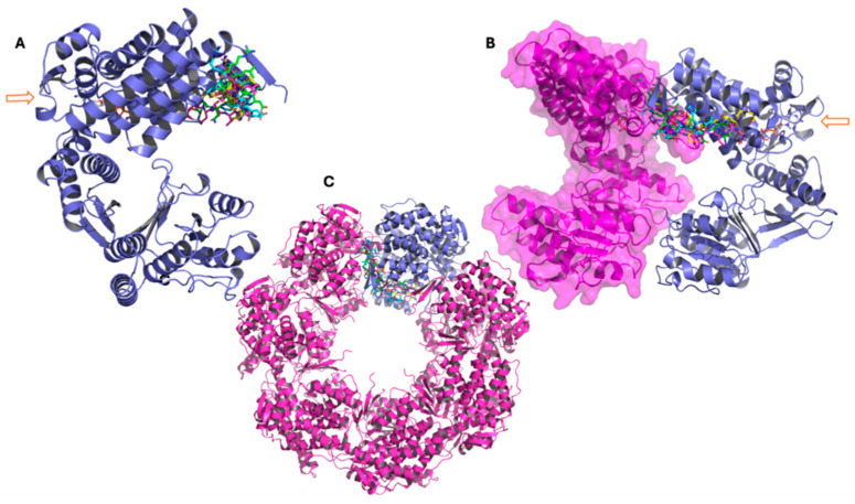 Figure 6