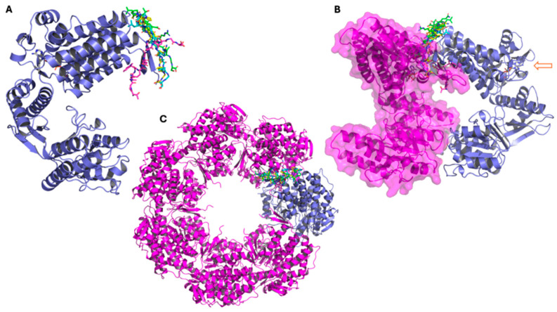 Figure 7