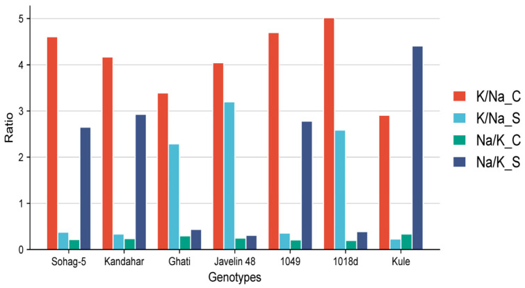 Figure 2