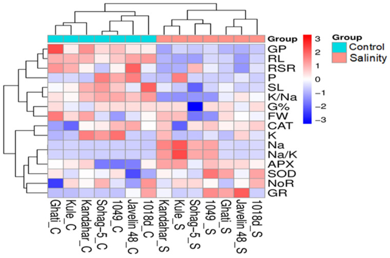 Figure 5