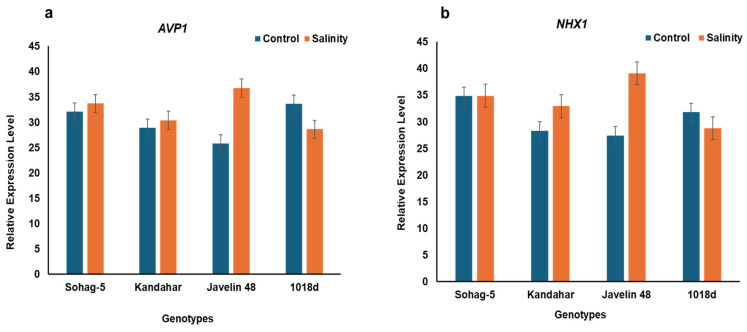 Figure 7
