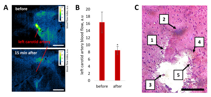 Figure 10