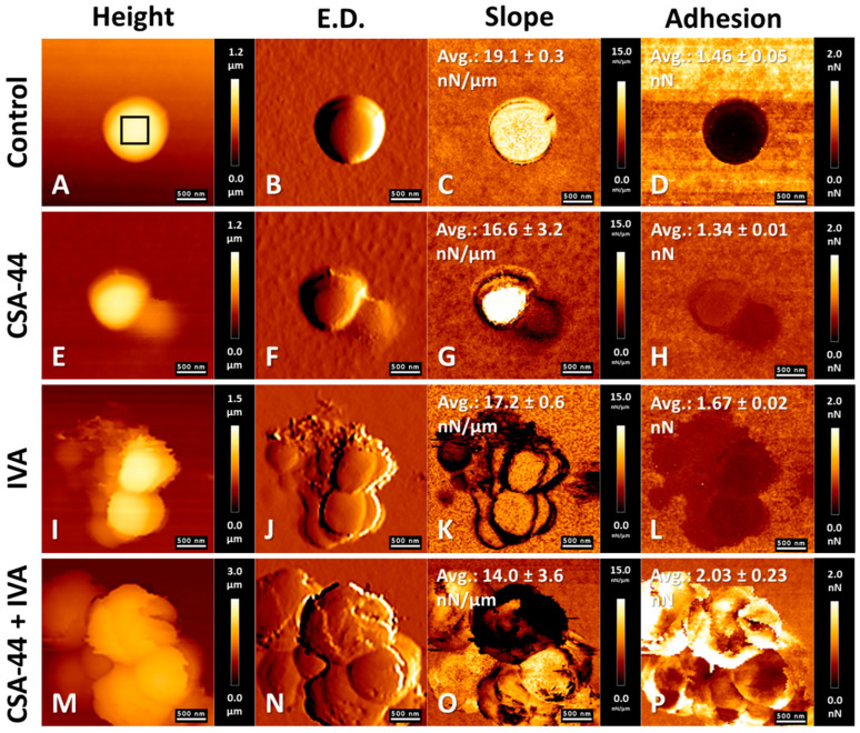 Figure 4