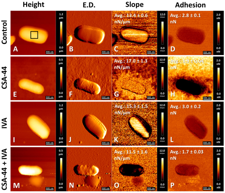 Figure 5