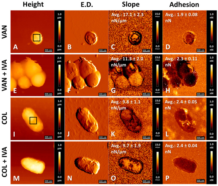 Figure 6