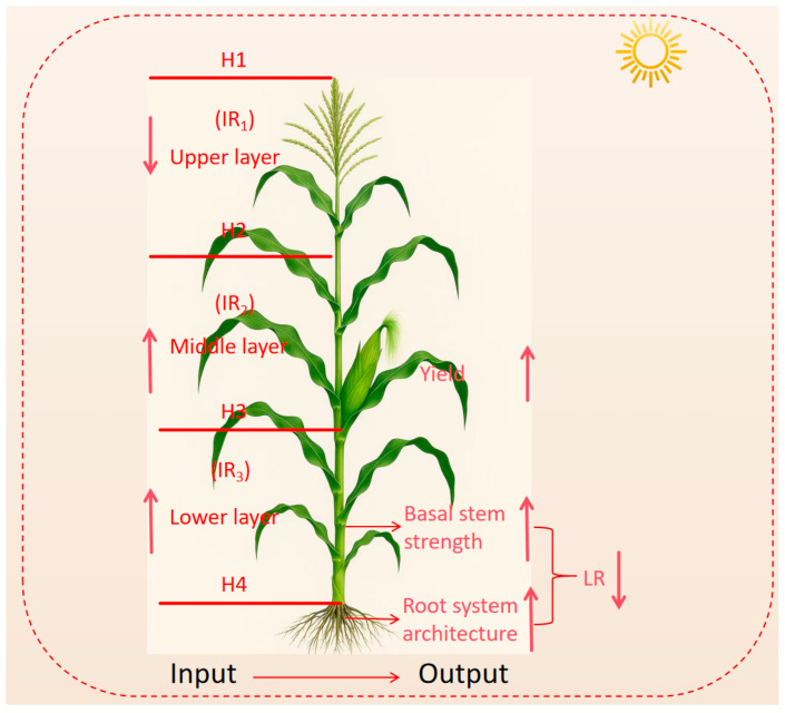 Figure 11