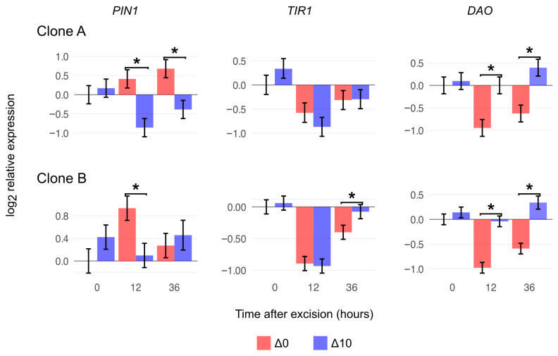 Figure 5