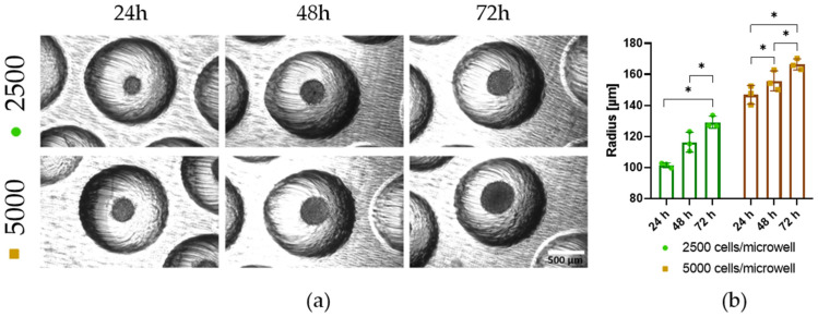 Figure 9