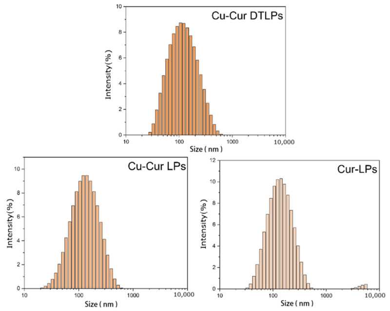 Figure 22
