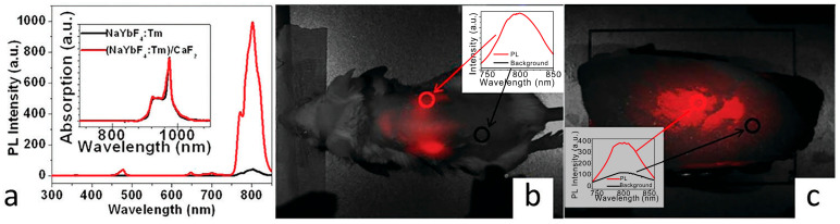 Figure 7